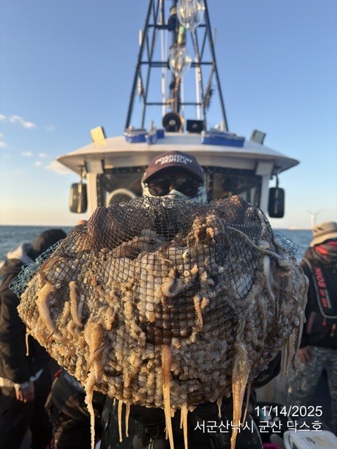 군산 선상낚시, 바다낚시 출조 전문 ☆서군산낚시☆_사진_20251114_2.jpg