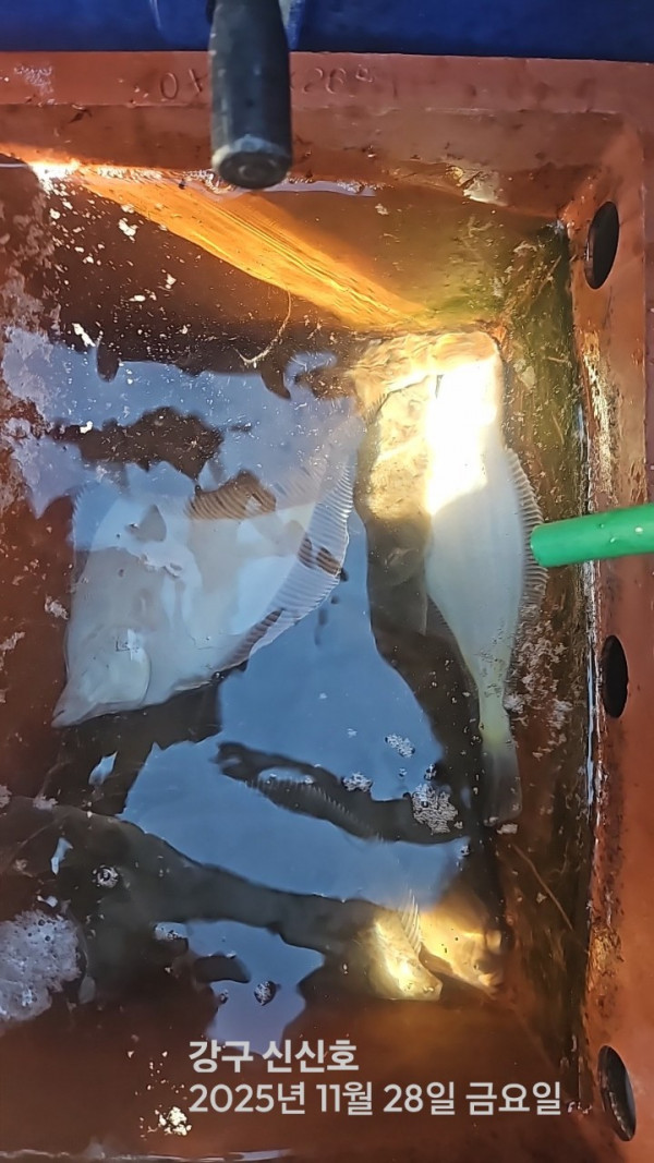 신신낚시 강구점 신신호_사진_20251128_7.jpg