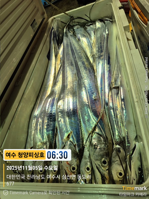 2025-11-05 06.30.28_677, 삼산면_(제목-여수 청양피싱호).jpg