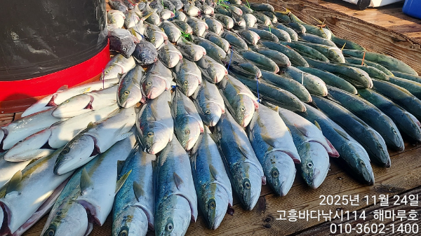 TimeVideo_20251124_112655 10명 (2).jpg