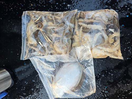 인천쭈꾸미낚시 (14).jpg