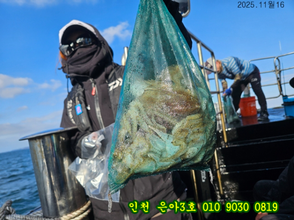 11월16 3호 (14).jpg