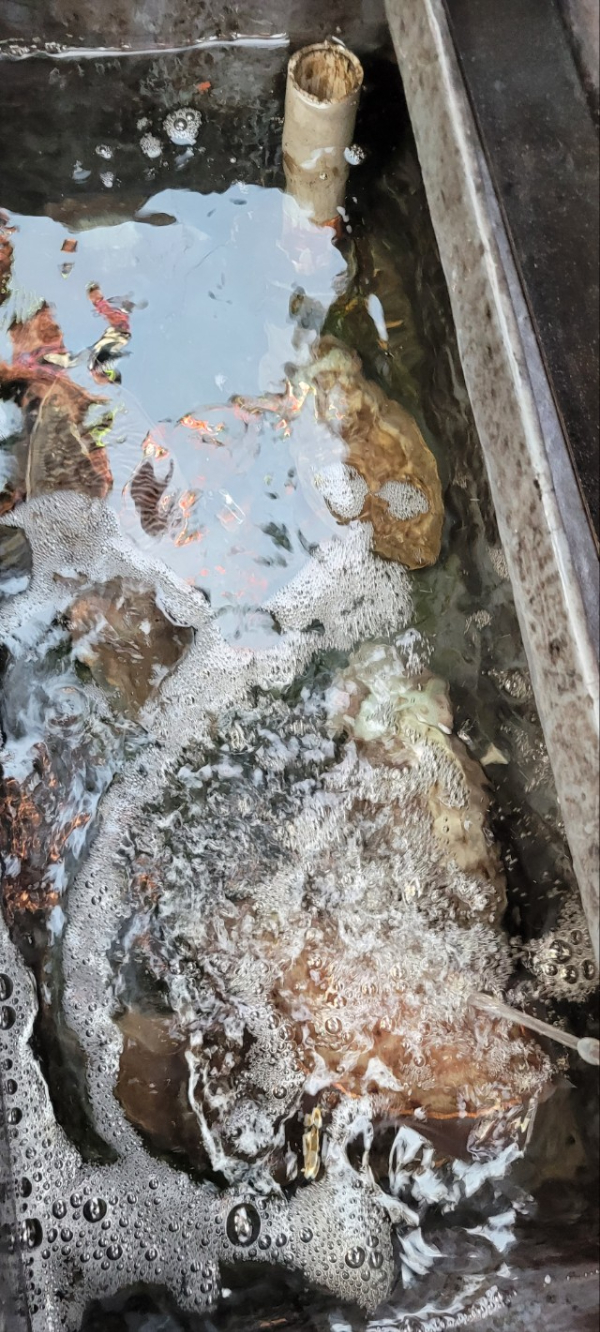 예지퀸호 농어외수질&어초낚시 경기인천권_사진_20251109_4.jpg