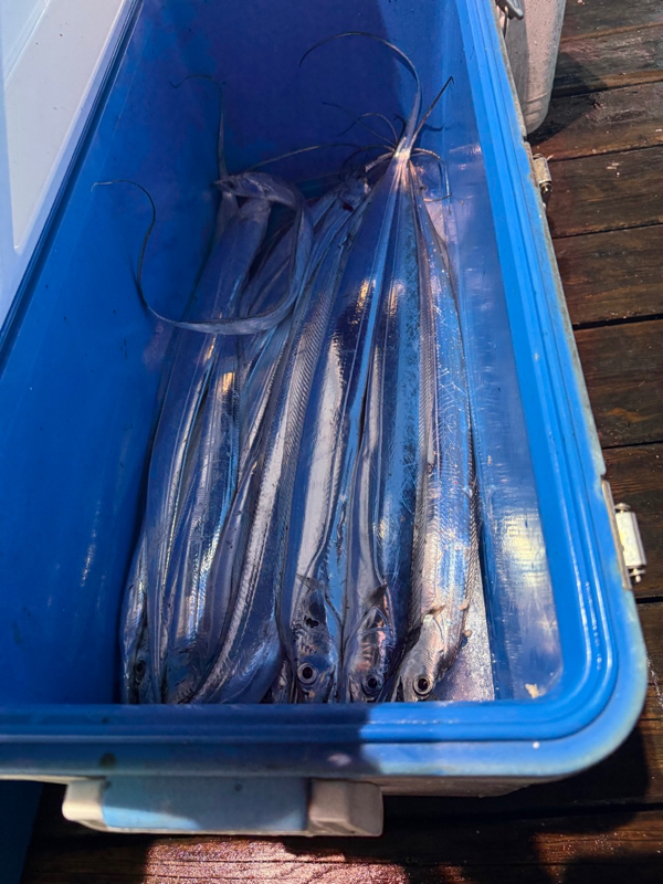 제주 쏘니호_사진_20251110_5.jpg