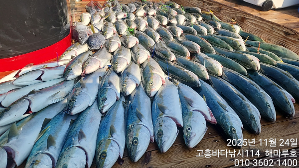 TimeVideo_20251124_112655 10명 (4).jpg