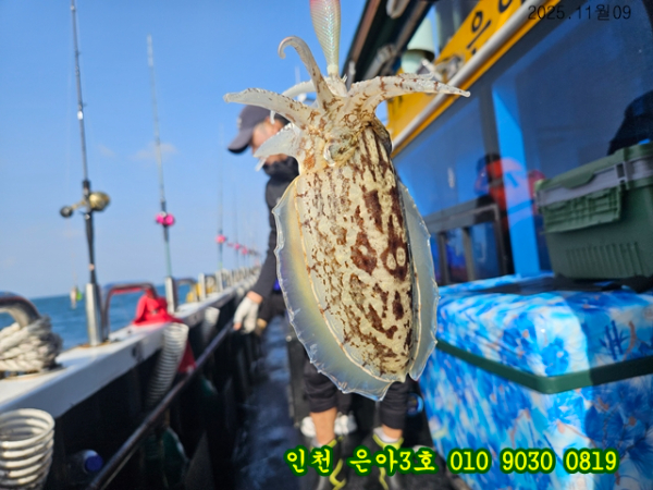 11월09  3호 (3).jpg