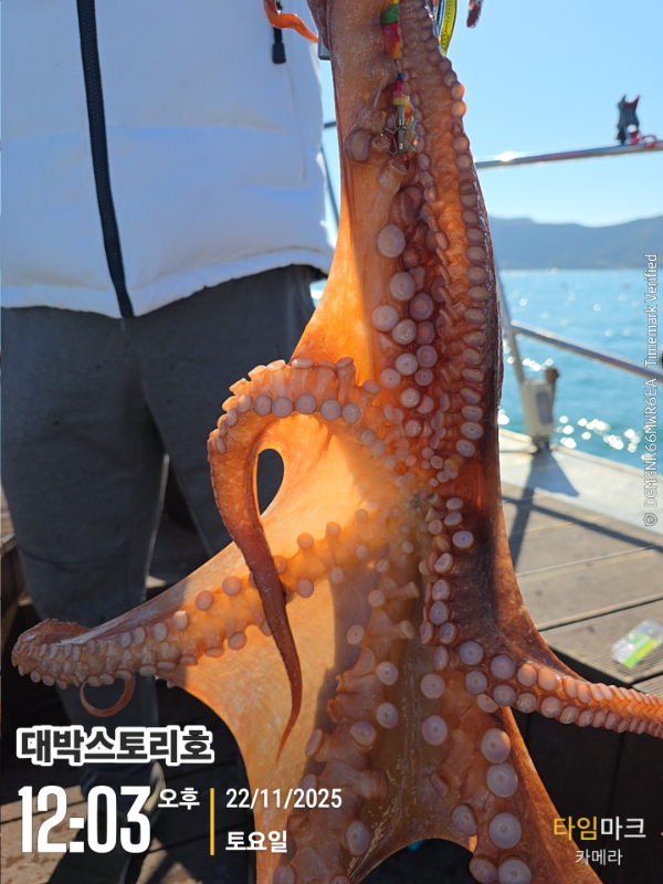 2025-11-22 12.03.41__(대박스토리호).jpg