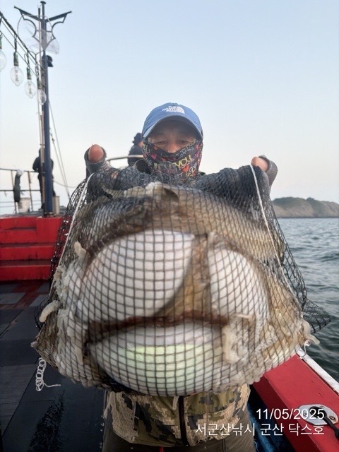 군산 선상낚시, 바다낚시 출조 전문 ☆서군산낚시☆_사진_20251105_4.jpg