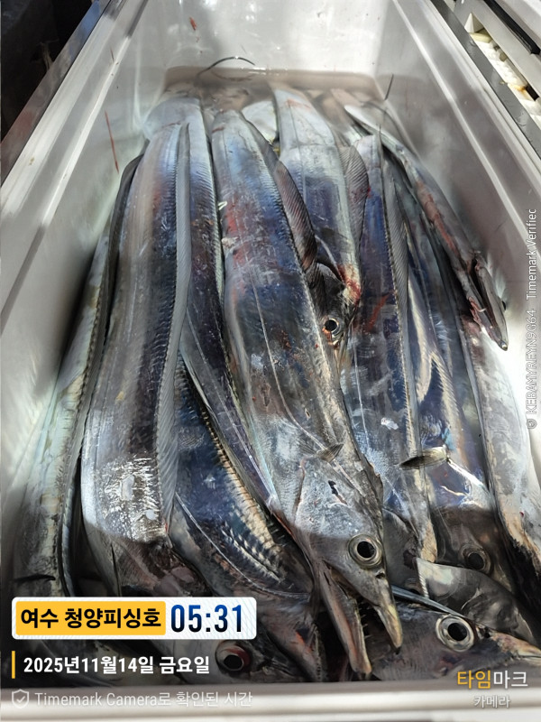 2025-11-14 05.31.53__(제목-여수 청양피싱호).jpg