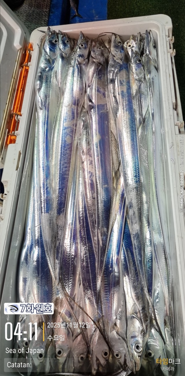 제주갈치낚시 화원호_사진_20251112_14.jpg