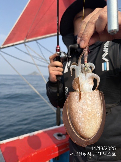 군산 선상낚시, 바다낚시 출조 전문 ☆서군산낚시☆_사진_20251113_15.jpg
