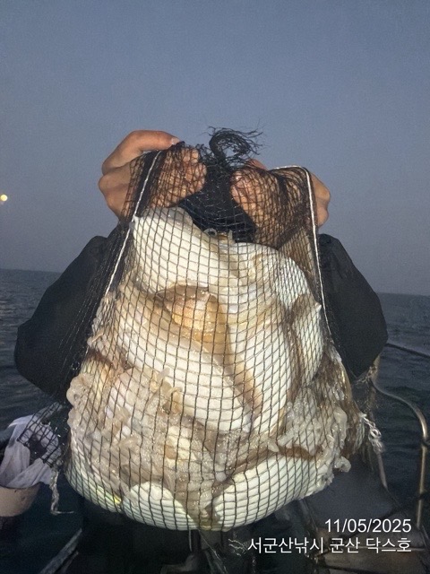 군산 선상낚시, 바다낚시 출조 전문 ☆서군산낚시☆_사진_20251105_3.jpg