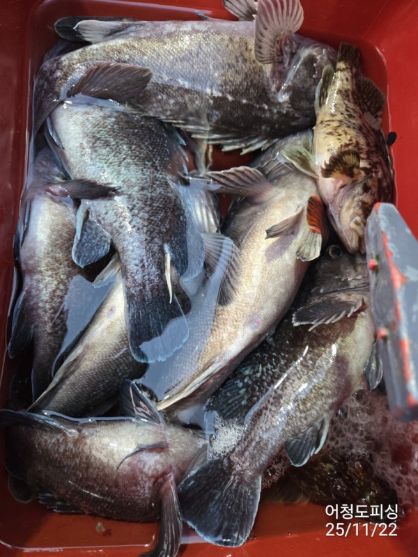 최강피싱 063.463.0800_사진_20251122_29 - 복사본.jpg