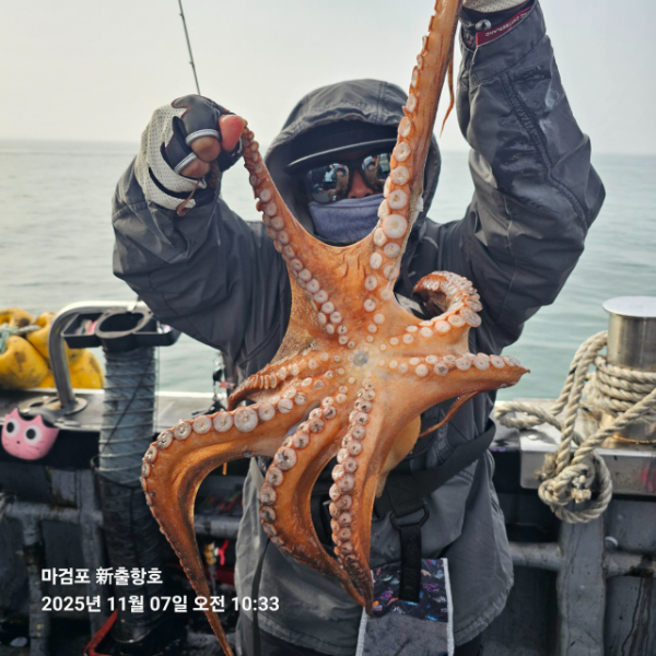 ꫛꫀꪝ✧‧˚ 태안 마검포 新출항호 .• _˚☀₊_사진_20251107_1.jpg