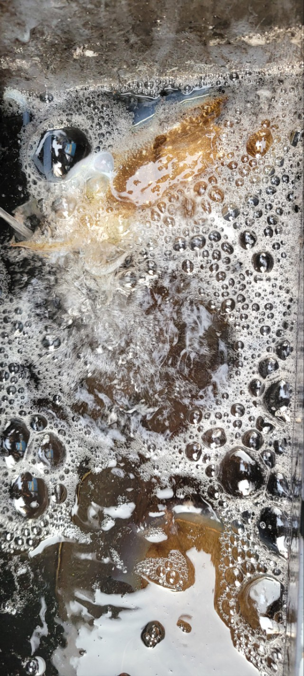 예지퀸호 농어외수질&어초낚시 경기인천권_사진_20251030_11.jpg