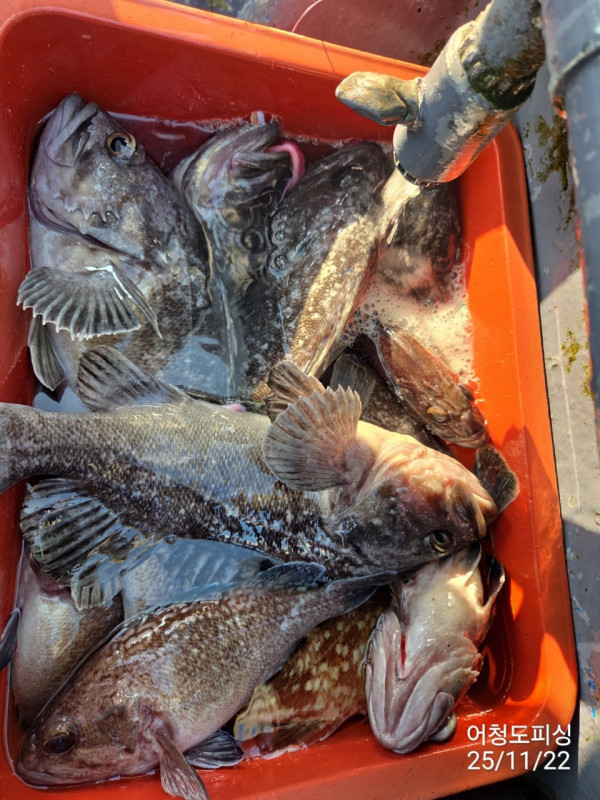 최강피싱 063.463.0800_사진_20251122_39 - 복사본.jpg