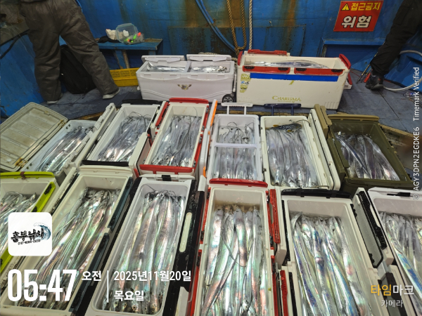 2025-11-20 05.47.16_.jpg