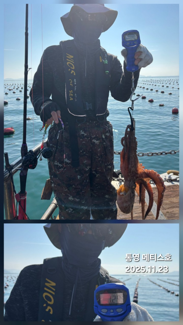 통영 메티스호_사진_20251126_10.jpg