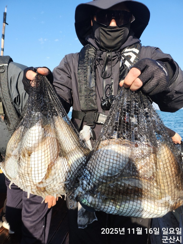 군산 선상낚시, 바다낚시 출조 전문 ☆서군산낚시☆_사진_20251116_7.jpg