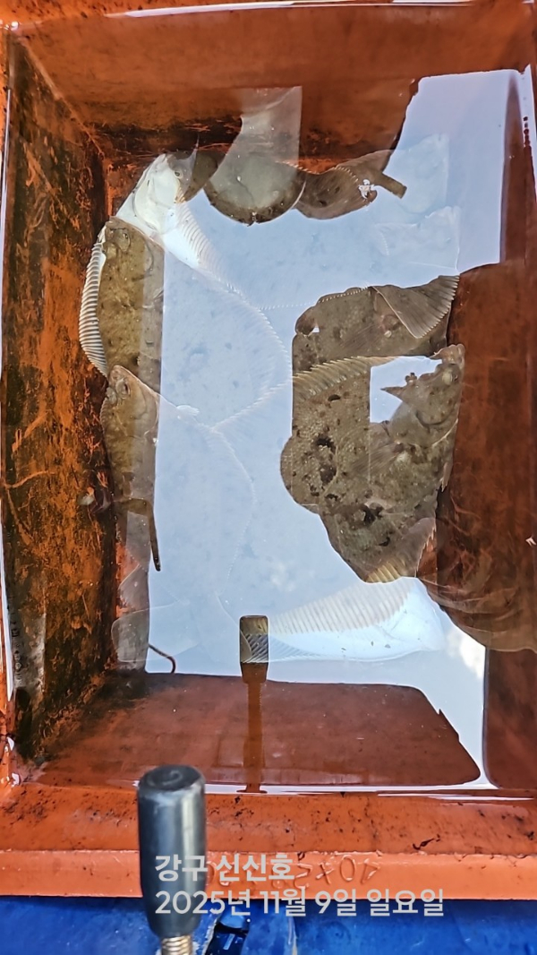 신신낚시 강구점 신신호_사진_20251109_11.jpg