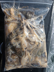 인천쭈꾸미낚시 (22).jpg