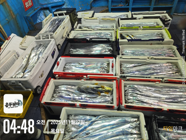 2025-11-27 04.48.18_.jpg