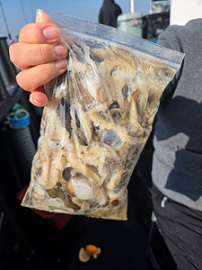 인천쭈꾸미낚시 (19).jpg