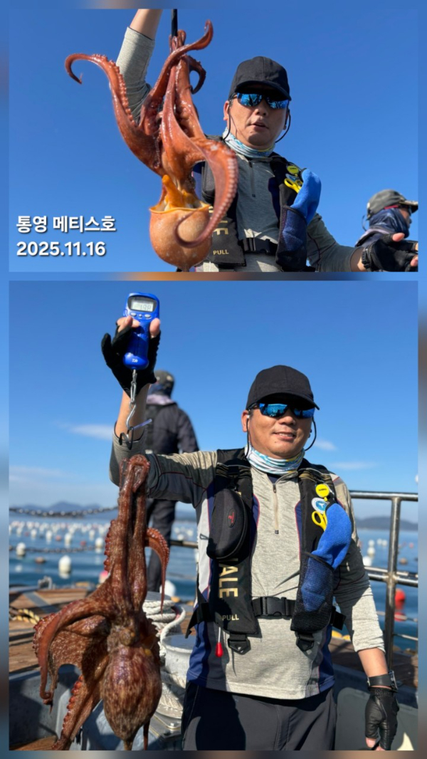 통영 메티스호_사진_20251117_3.jpg