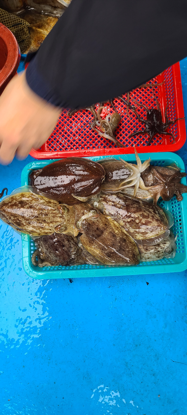 20251031_153337 - 복사본.jpg