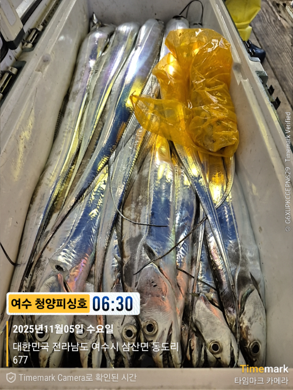 2025-11-05 06.30.00_677, 삼산면_(제목-여수 청양피싱호).jpg