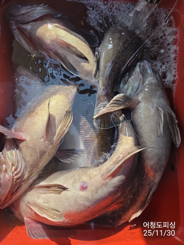 최강피싱 063.463.0800_사진_20251130_24.jpg