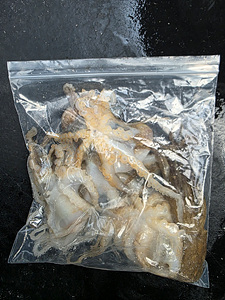 인천쭈꾸미낚시 (17).jpg