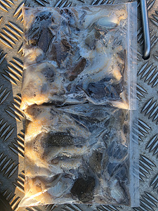 인천쭈꾸미낚시 (4).jpg