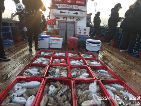 11월1일갑오징어조황 (43).jpg