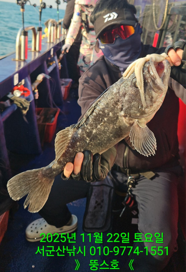 군산 선상낚시, 바다낚시 출조 전문 ☆서군산낚시☆_사진_20251122_10.jpg