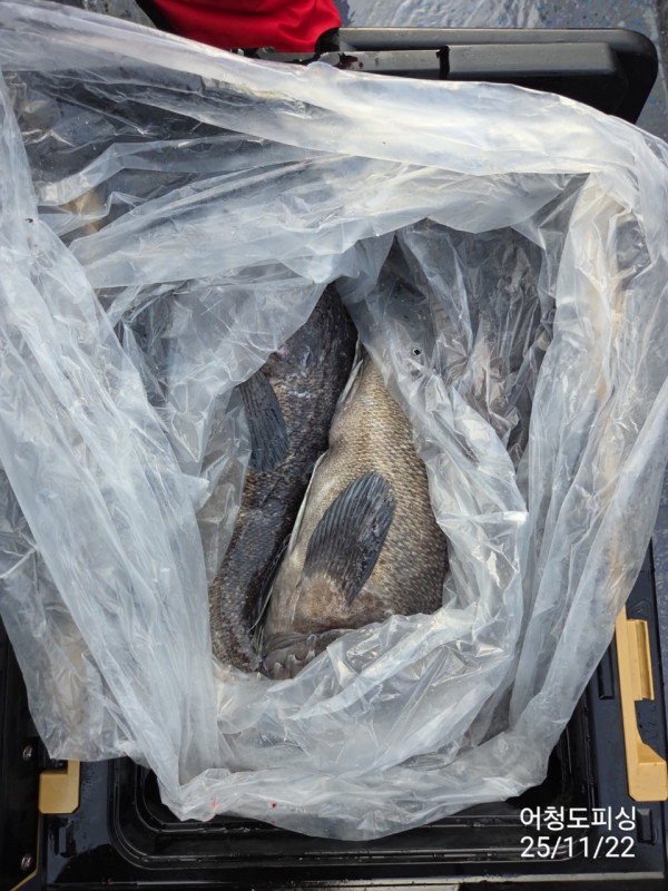 최강피싱 063.463.0800_사진_20251122_55.jpg