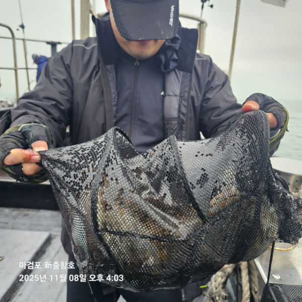 ꫛꫀꪝ✧‧˚ 태안 마검포 新출항호 .• _˚☀₊_사진_20251108_1.jpg