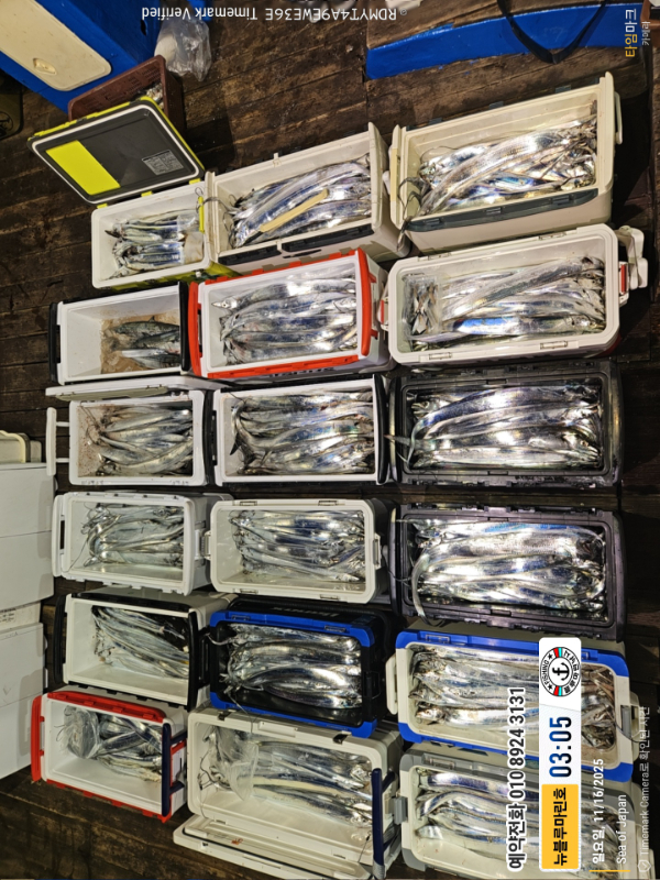 2025-11-16 03.05.10_Japan_(제목-뉴블루마린호)_(예약전화 010 8924 3131).jpg