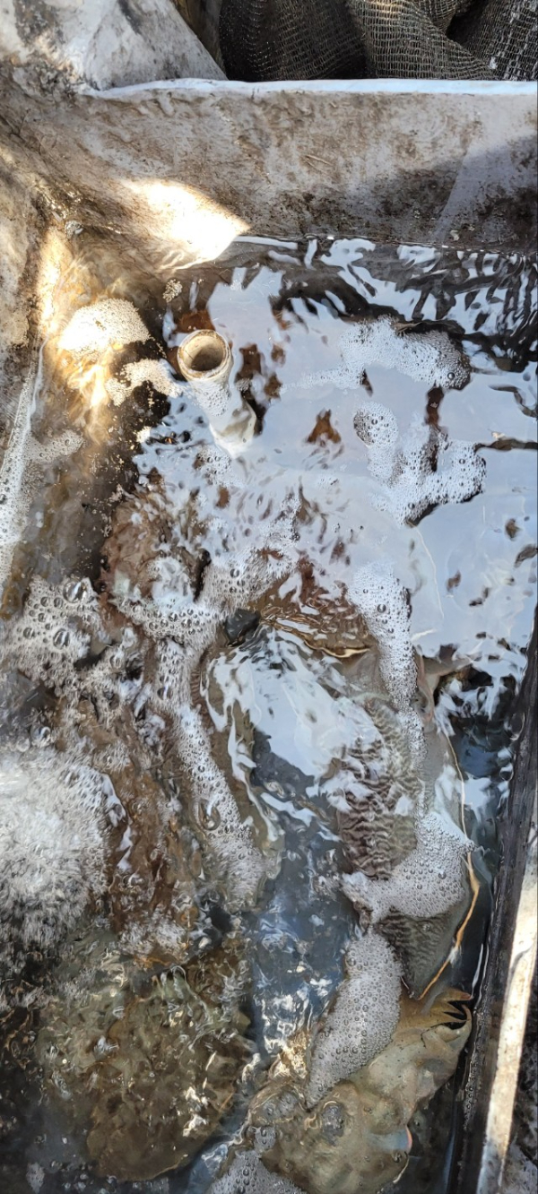 예지퀸호 농어외수질&어초낚시 경기인천권_사진_20251109_2.jpg