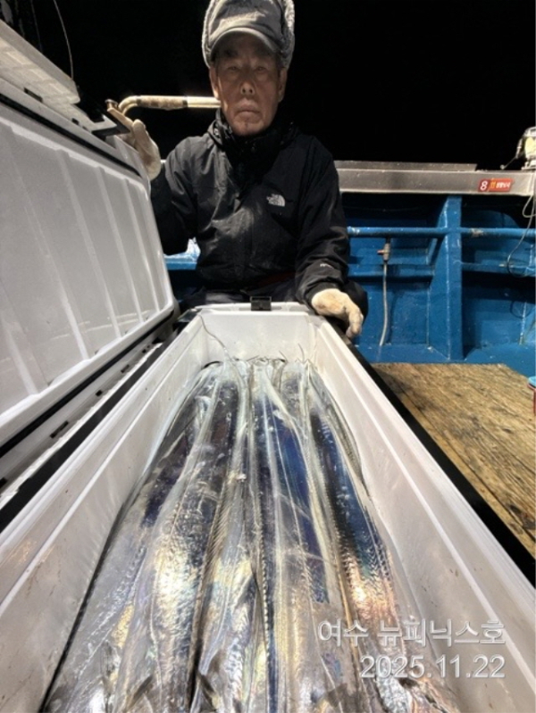 20911월22일갈치 (11).jpg