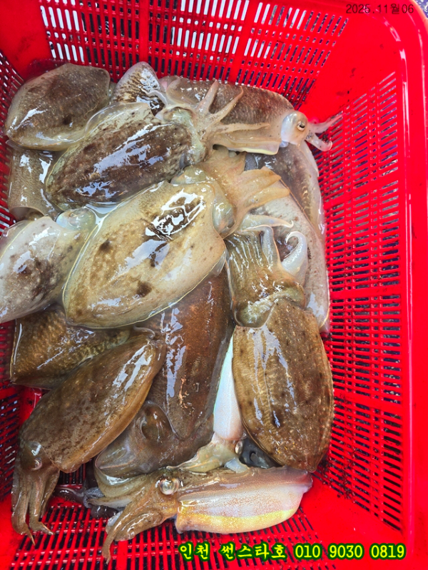 11월06 썬 (23).jpg