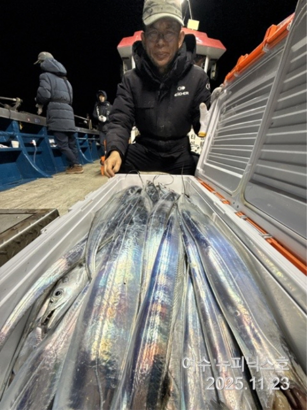 20911월23일갈치 (6).jpg