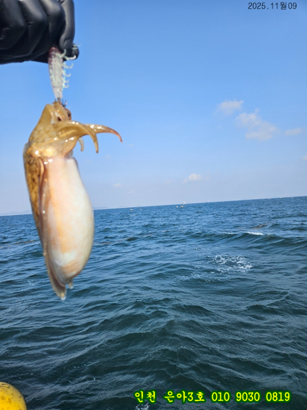 11월09  3호 (2).jpg