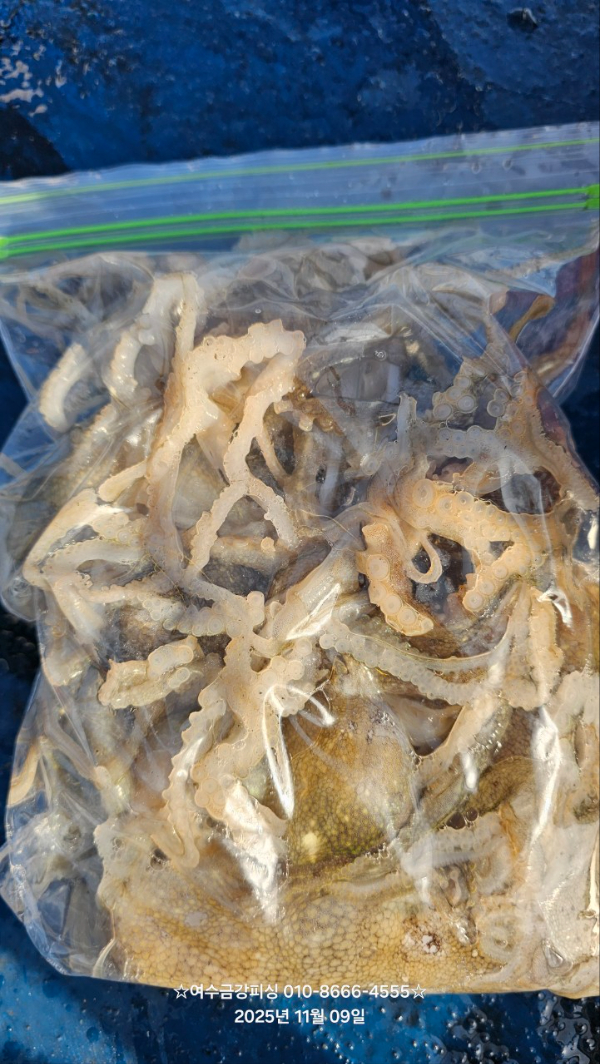 여수금강피싱_사진_20251110_10.jpg