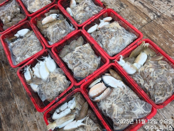 11월12일대왕쭈 (53).jpg