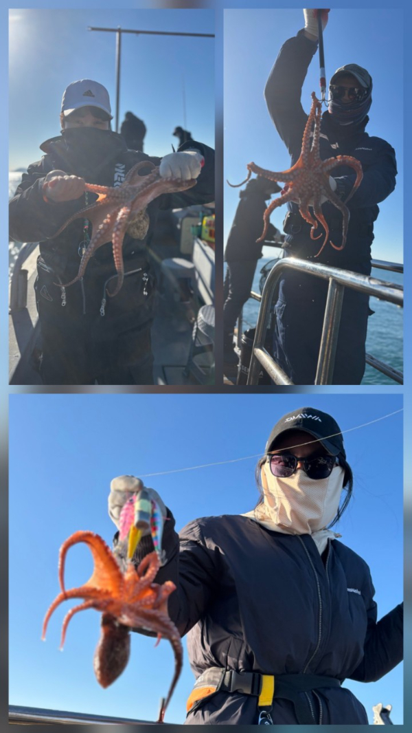 통영 메티스호_사진_20251126_6.jpg