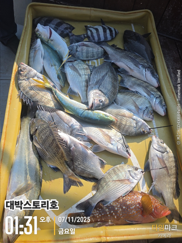 2025-11-07 01.31.16__(대박스토리호).jpg