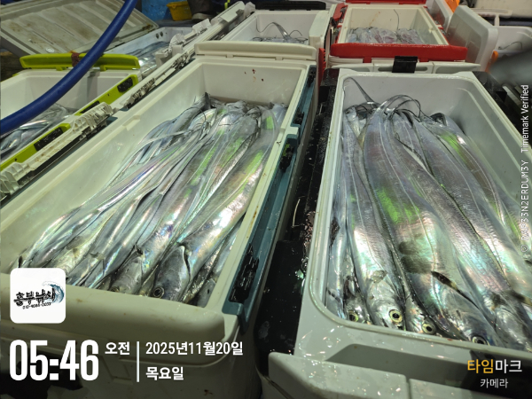 2025-11-20 05.46.24_.jpg