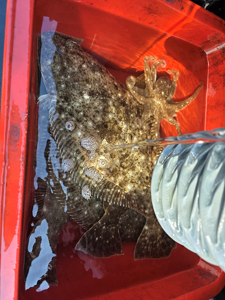 인천바다낚시 (8).jpg