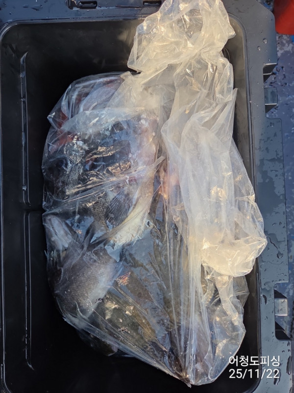 최강피싱 063.463.0800_사진_20251122_48.jpg